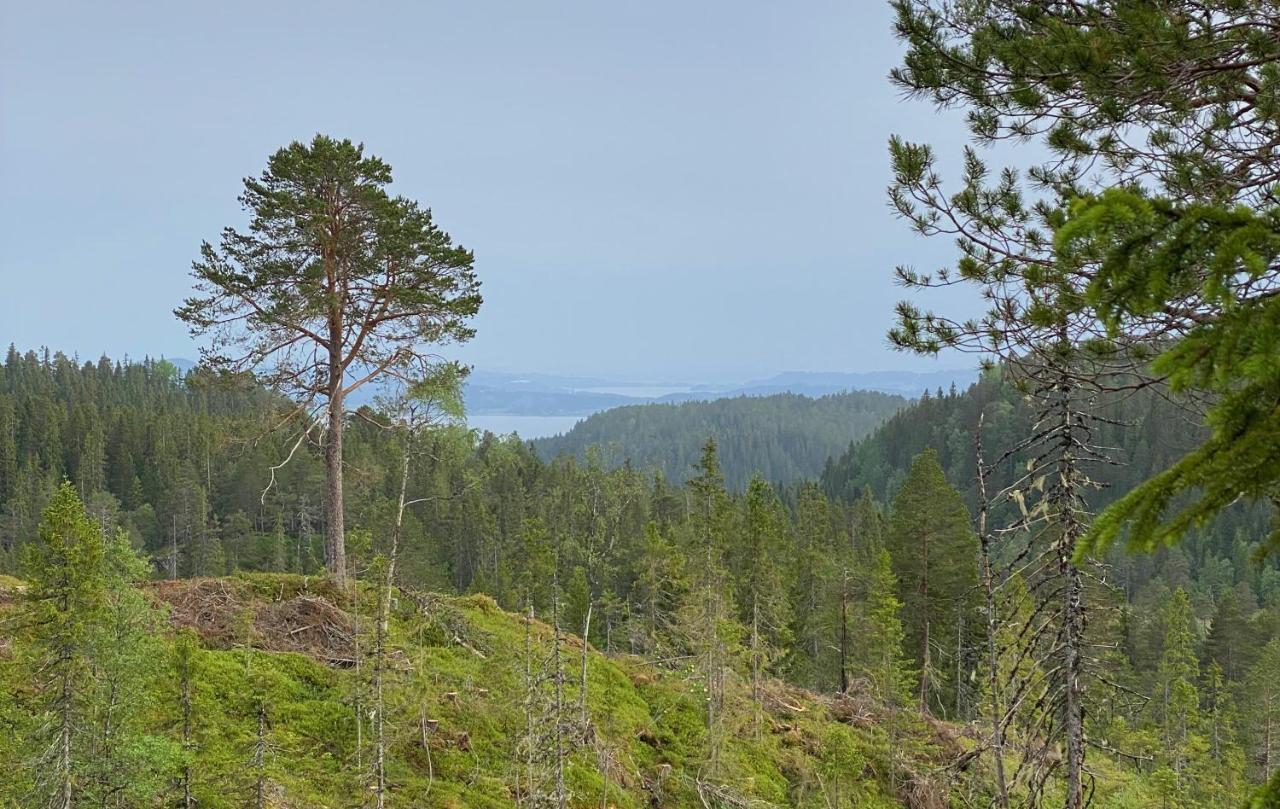 فيلا Fjellstad Gard - 2 Minutes From E6 And 5 Minutes Drive From Steinkjer City المظهر الخارجي الصورة