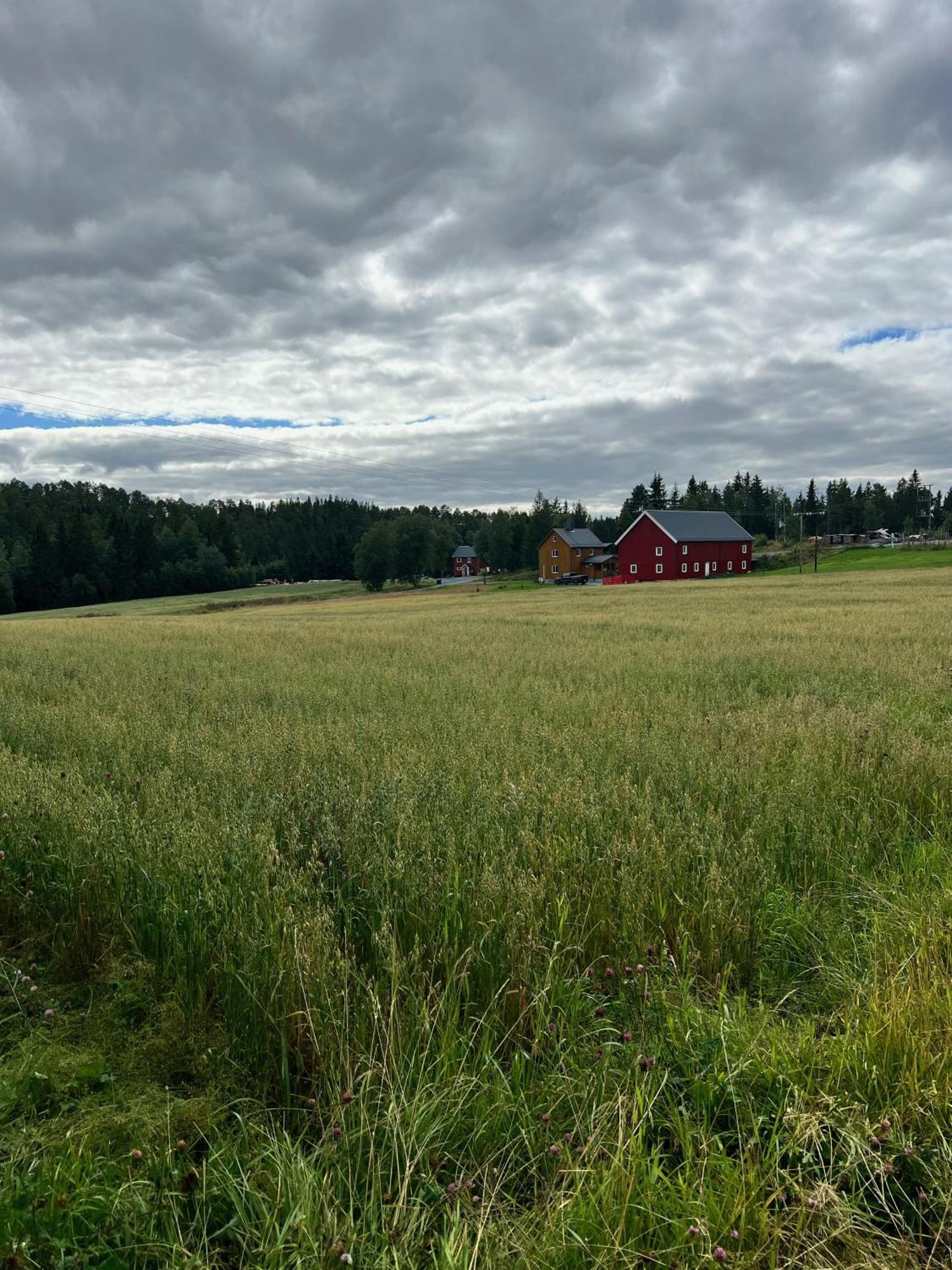 فيلا Fjellstad Gard - 2 Minutes From E6 And 5 Minutes Drive From Steinkjer City المظهر الخارجي الصورة