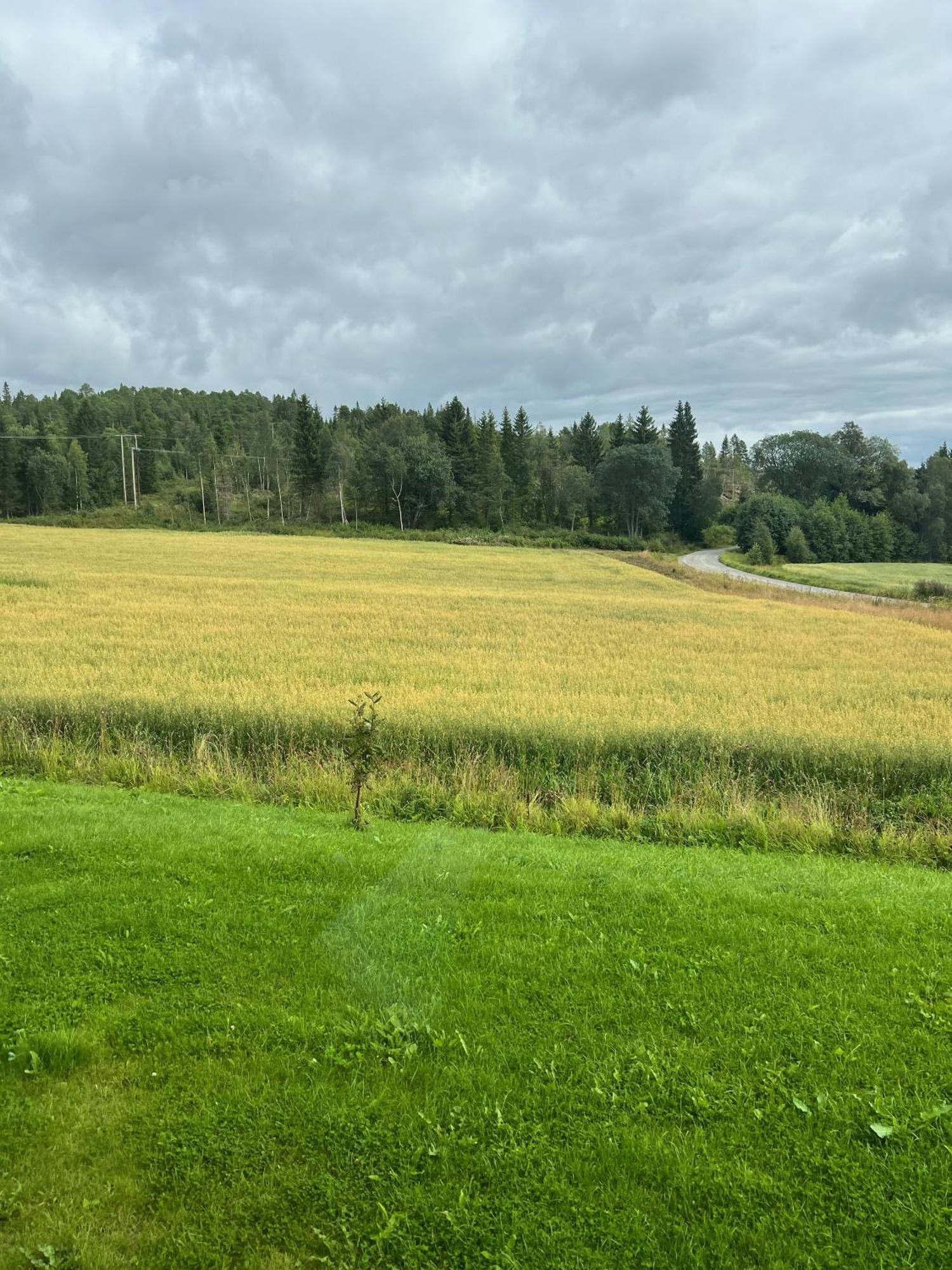 فيلا Fjellstad Gard - 2 Minutes From E6 And 5 Minutes Drive From Steinkjer City المظهر الخارجي الصورة